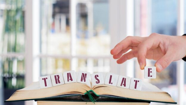 traduceri aotprizate 30 limbi